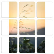 Магнитные фотопазлы 50 на 50 набор 9 штук 