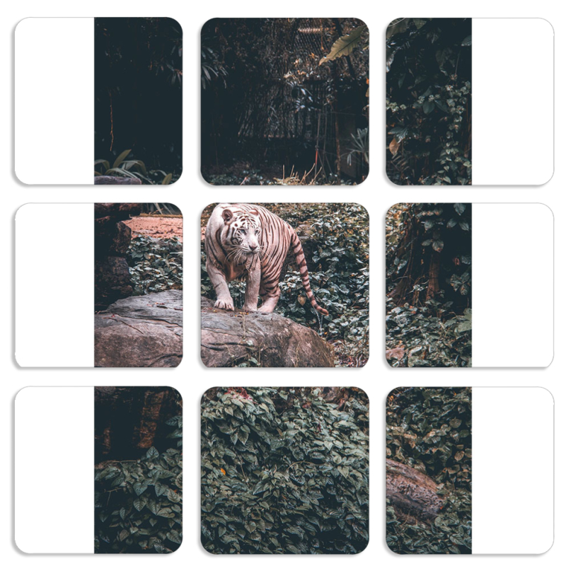 Магнитные фотопазлы 50 на 50 набор 9 штук 