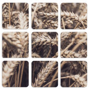 Магнитные фотопазлы 50 на 50 набор 9 штук 