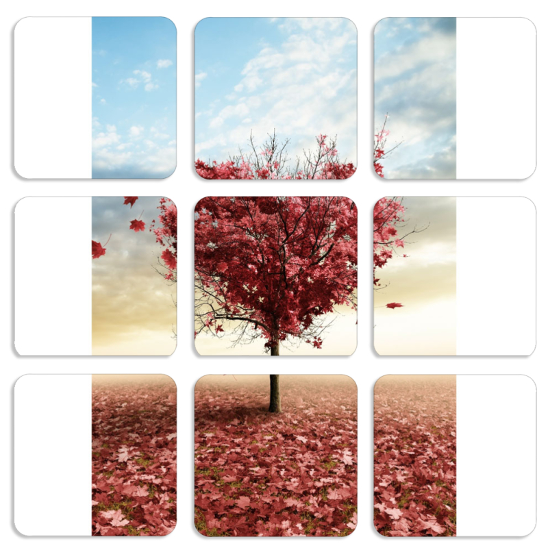 Магнитные фотопазлы 50 на 50 набор 9 штук Tree of Love