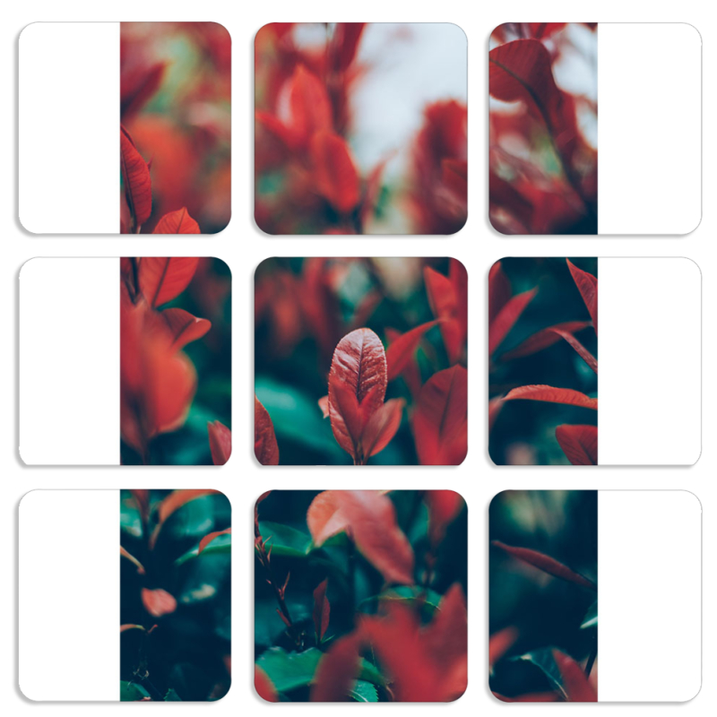 Магнитные фотопазлы 50 на 50 набор 9 штук 