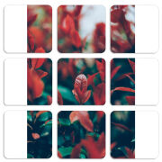 Магнитные фотопазлы 50 на 50 набор 9 штук 