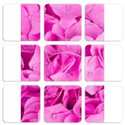 Магнитные фотопазлы 50 на 50 набор 9 штук Pink Flowers