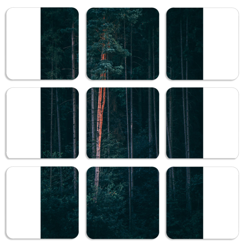 Магнитные фотопазлы 50 на 50 набор 9 штук 