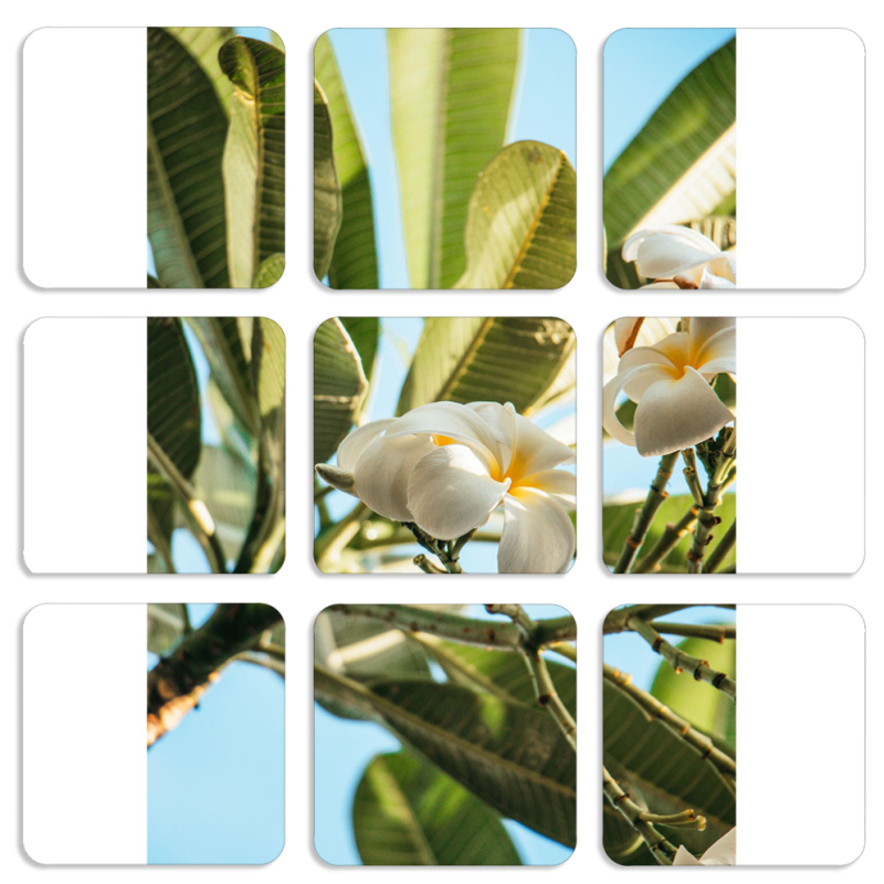 Магнитные фотопазлы 50 на 50 набор 9 штук 