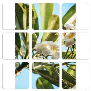 Магнитные фотопазлы 50 на 50 набор 9 штук 