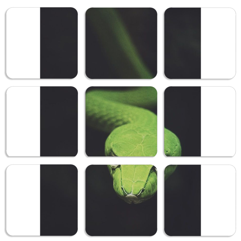 Магнитные фотопазлы 50 на 50 набор 9 штук 