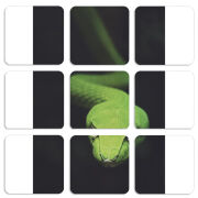 Магнитные фотопазлы 50 на 50 набор 9 штук 