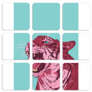 Магнитные фотопазлы 50 на 50 набор 9 штук 