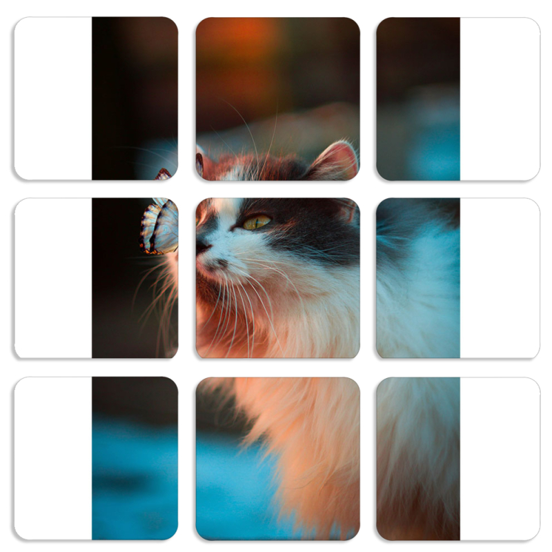 Магнитные фотопазлы 50 на 50 набор 9 штук 