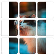 Магнитные фотопазлы 50 на 50 набор 9 штук 