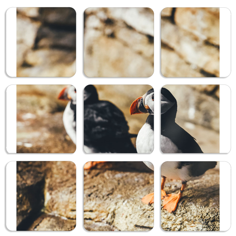 Магнитные фотопазлы 50 на 50 набор 9 штук 