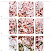 Магнитные фотопазлы 50 на 50 набор 9 штук 