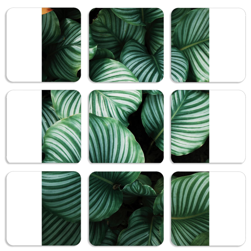 Магнитные фотопазлы 50 на 50 набор 9 штук 