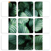 Магнитные фотопазлы 50 на 50 набор 9 штук 