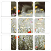 Магнитные фотопазлы 50 на 50 набор 9 штук 