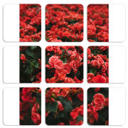 Магнитные фотопазлы 50 на 50 набор 9 штук 