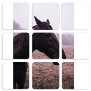 Магнитные фотопазлы 50 на 50 набор 9 штук 