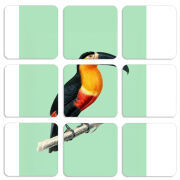 Магнитные фотопазлы 50 на 50 набор 9 штук 