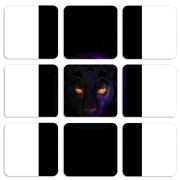 Магнитные фотопазлы 50 на 50 набор 9 штук 