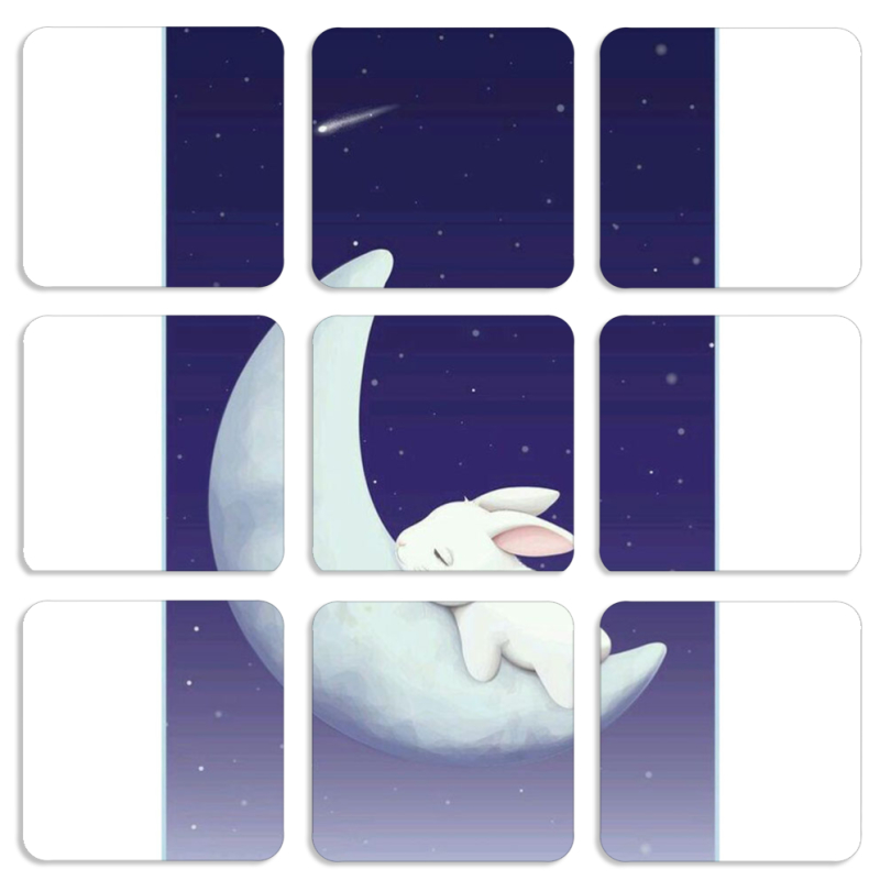 Магнитные фотопазлы 50 на 50 набор 9 штук Moon Bunny