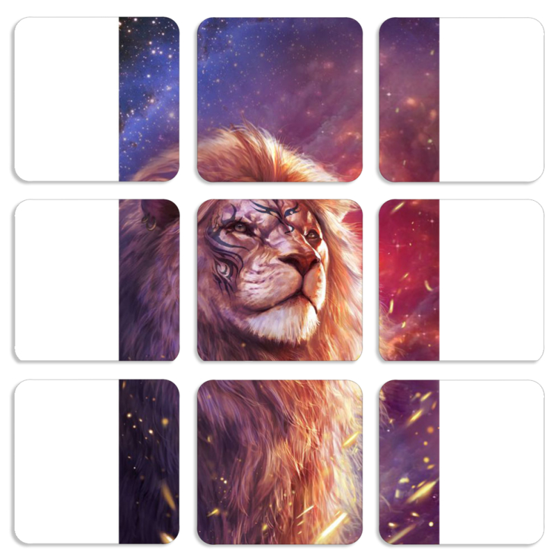 Магнитные фотопазлы 50 на 50 набор 9 штук 