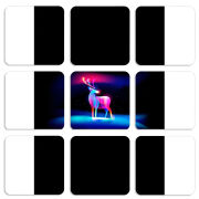 Магнитные фотопазлы 50 на 50 набор 9 штук 