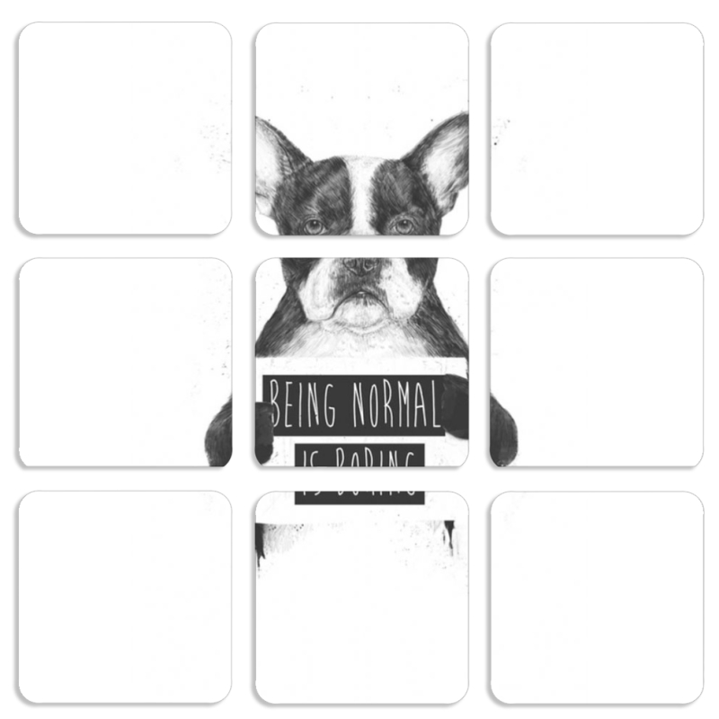 Магнитные фотопазлы 50 на 50 набор 9 штук 