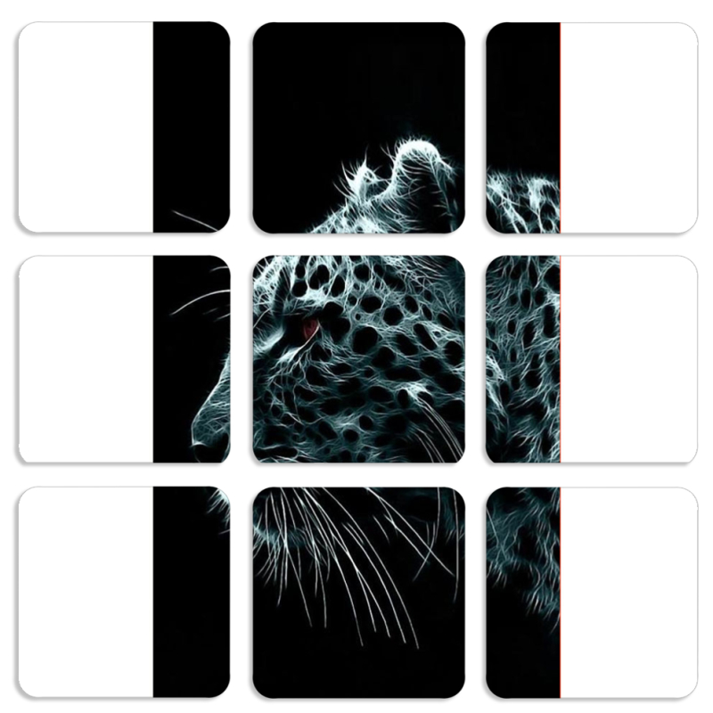 Магнитные фотопазлы 50 на 50 набор 9 штук Leopard