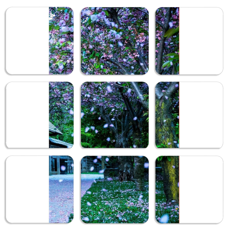 Магнитные фотопазлы 50 на 50 набор 9 штук 