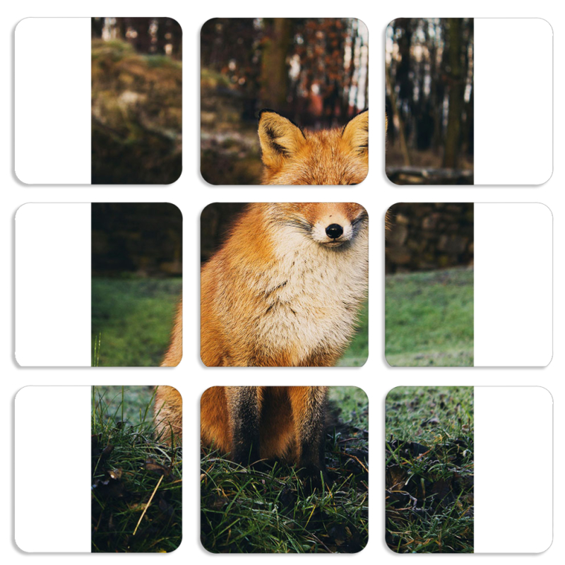 Магнитные фотопазлы 50 на 50 набор 9 штук 