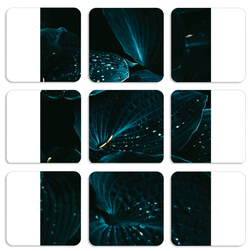 Магнитные фотопазлы 50 на 50 набор 9 штук 