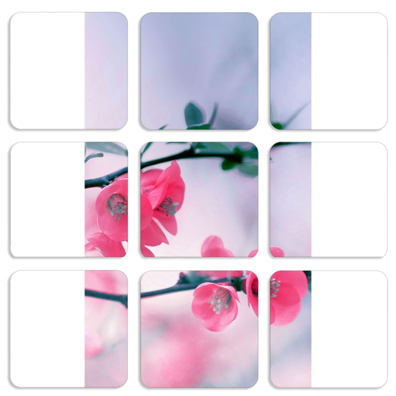 Магнитные фотопазлы 50 на 50 набор 9 штук 