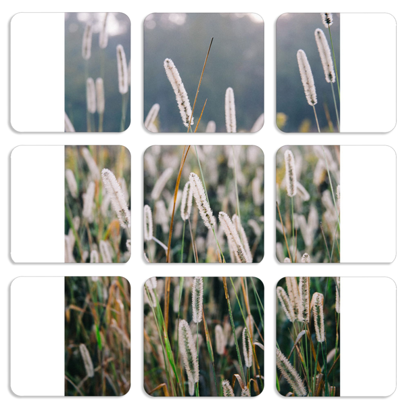 Магнитные фотопазлы 50 на 50 набор 9 штук 