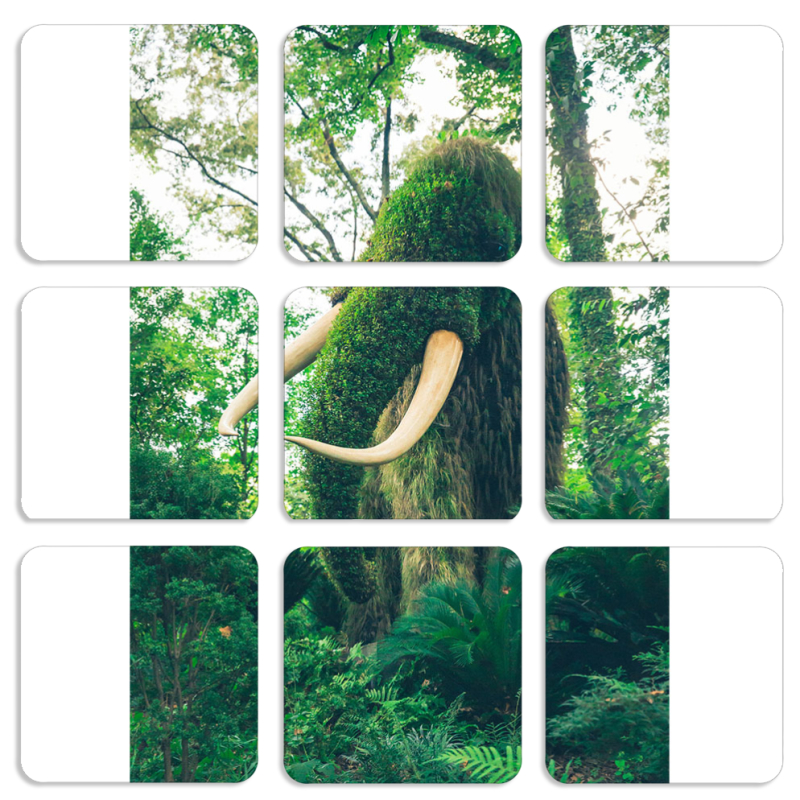 Магнитные фотопазлы 50 на 50 набор 9 штук 