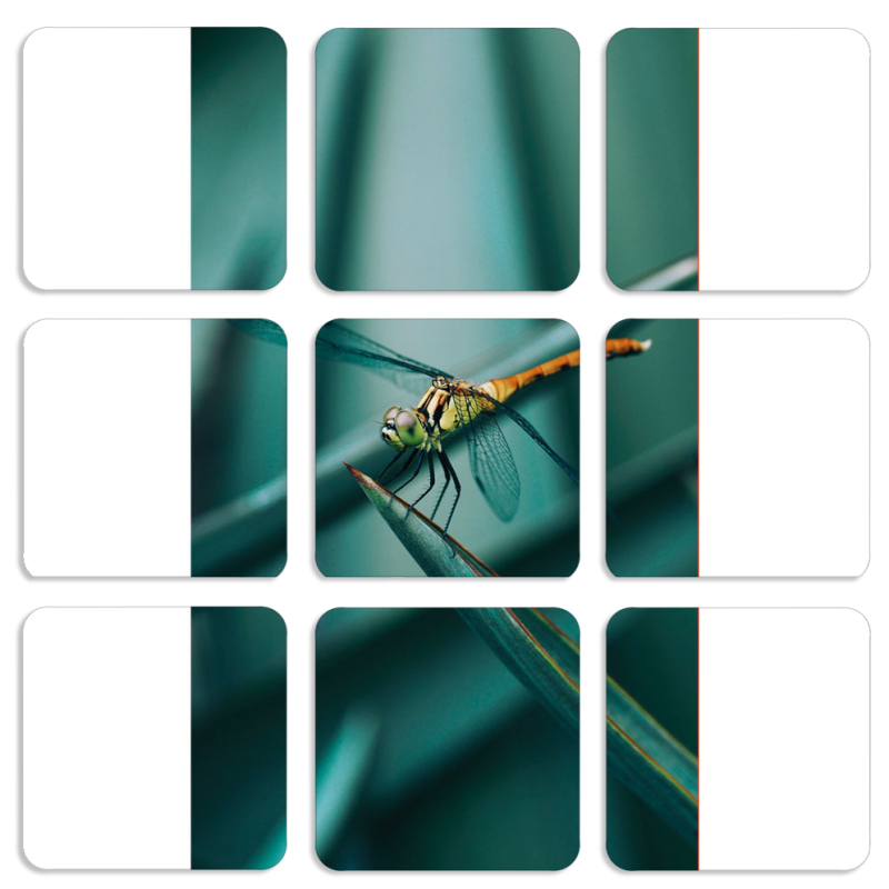 Магнитные фотопазлы 50 на 50 набор 9 штук 