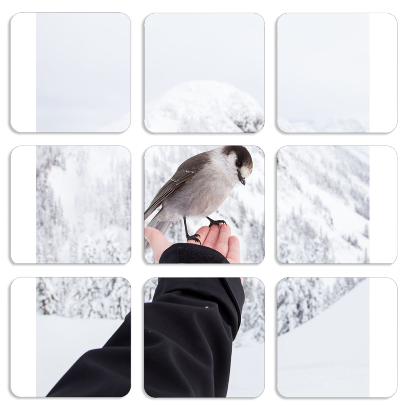 Магнитные фотопазлы 50 на 50 набор 9 штук 