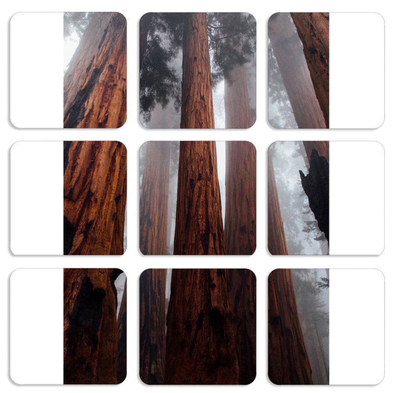 Магнитные фотопазлы 50 на 50 набор 9 штук 