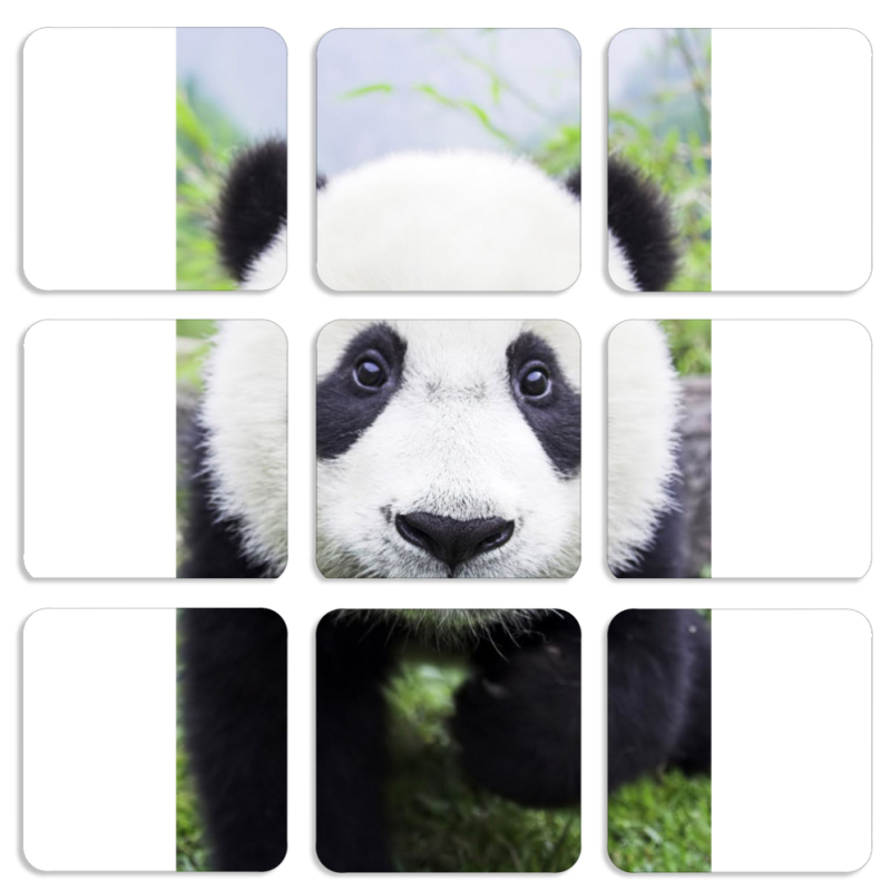 Магнитные фотопазлы 50 на 50 набор 9 штук 