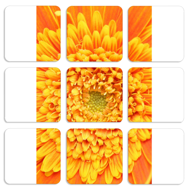 Магнитные фотопазлы 50 на 50 набор 9 штук 