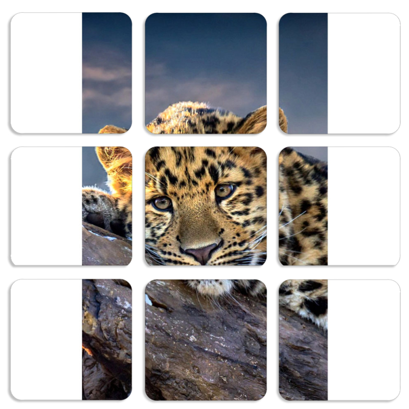 Магнитные фотопазлы 50 на 50 набор 9 штук 