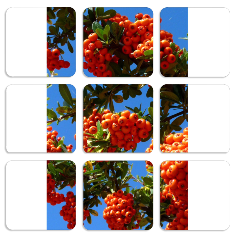 Магнитные фотопазлы 50 на 50 набор 9 штук 