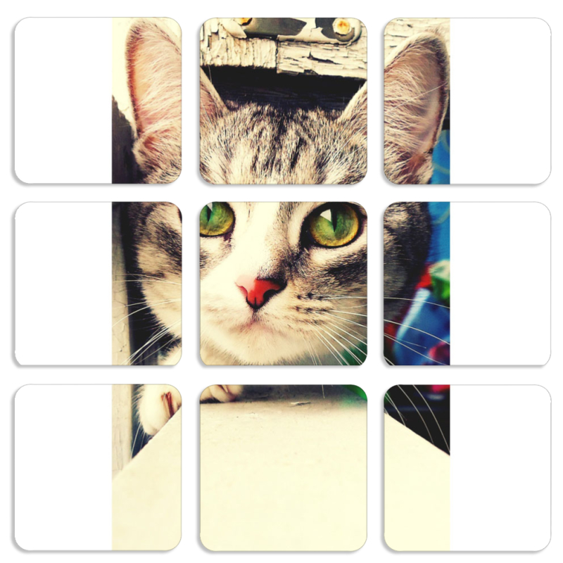 Магнитные фотопазлы 50 на 50 набор 9 штук 
