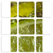 Магнитные фотопазлы 50 на 50 набор 9 штук 