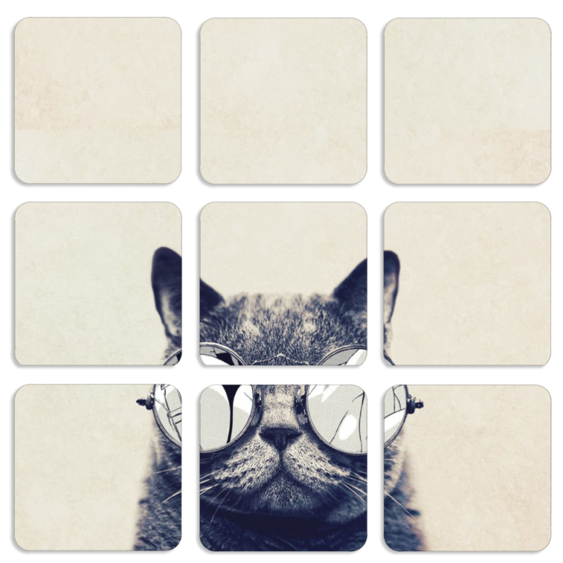 Магнитные фотопазлы 50 на 50 набор 9 штук Соглядатай Кот