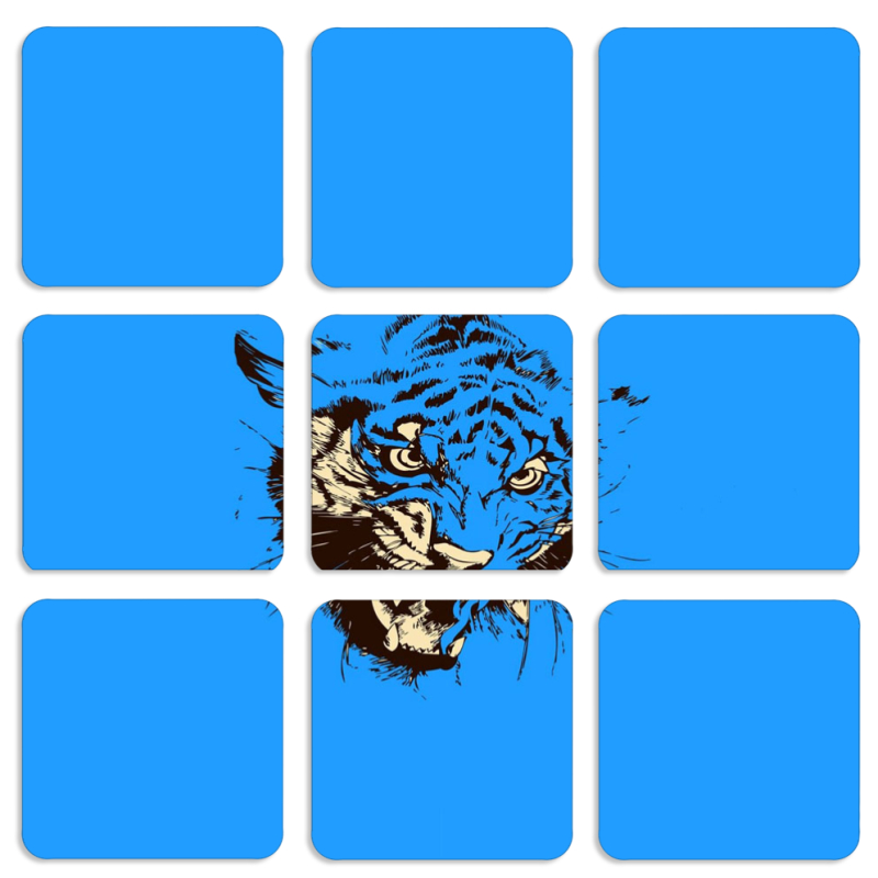 Магнитные фотопазлы 50 на 50 набор 9 штук 