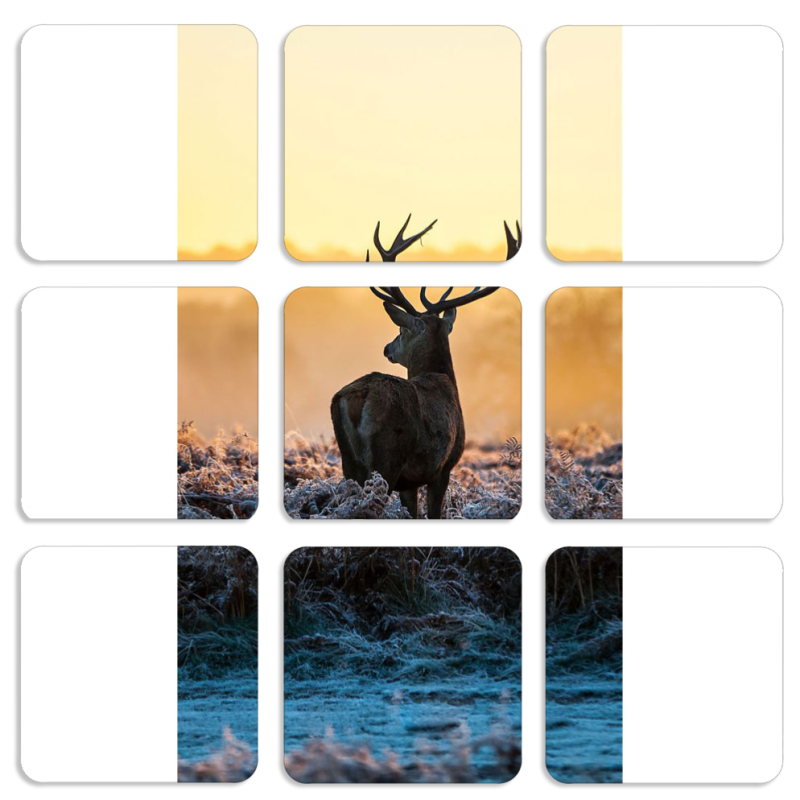 Магнитные фотопазлы 50 на 50 набор 9 штук 