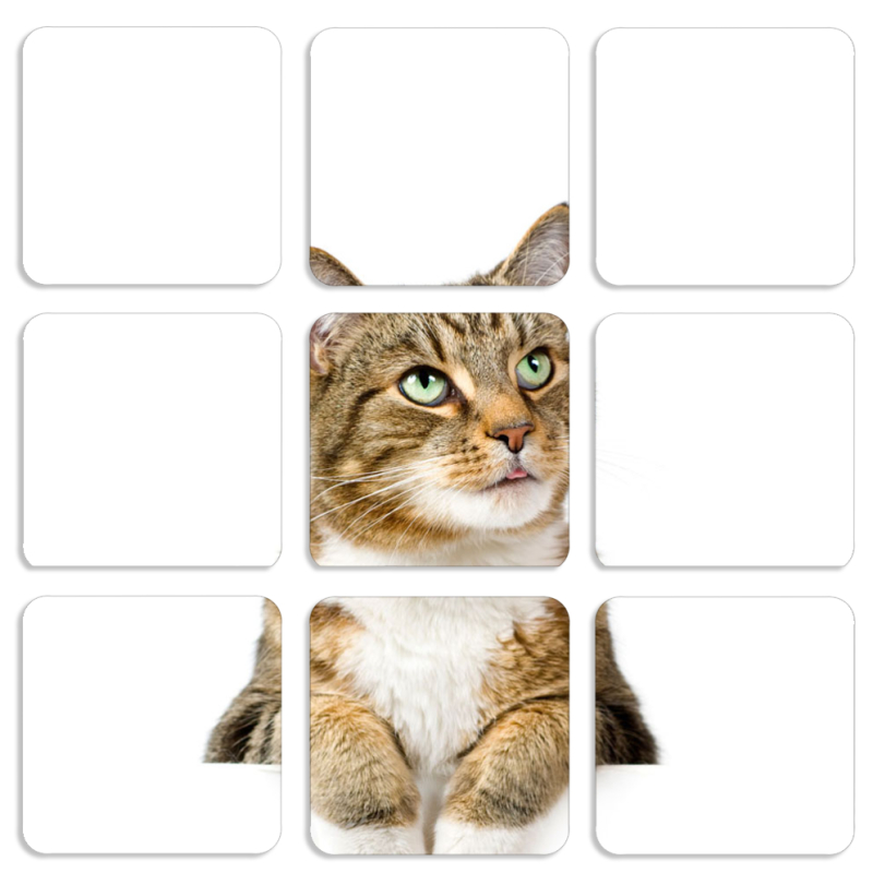 Магнитные фотопазлы 50 на 50 набор 9 штук 