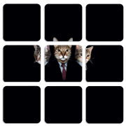 Магнитные фотопазлы 50 на 50 набор 9 штук 