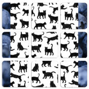 Магнитные фотопазлы 50 на 50 набор 9 штук 